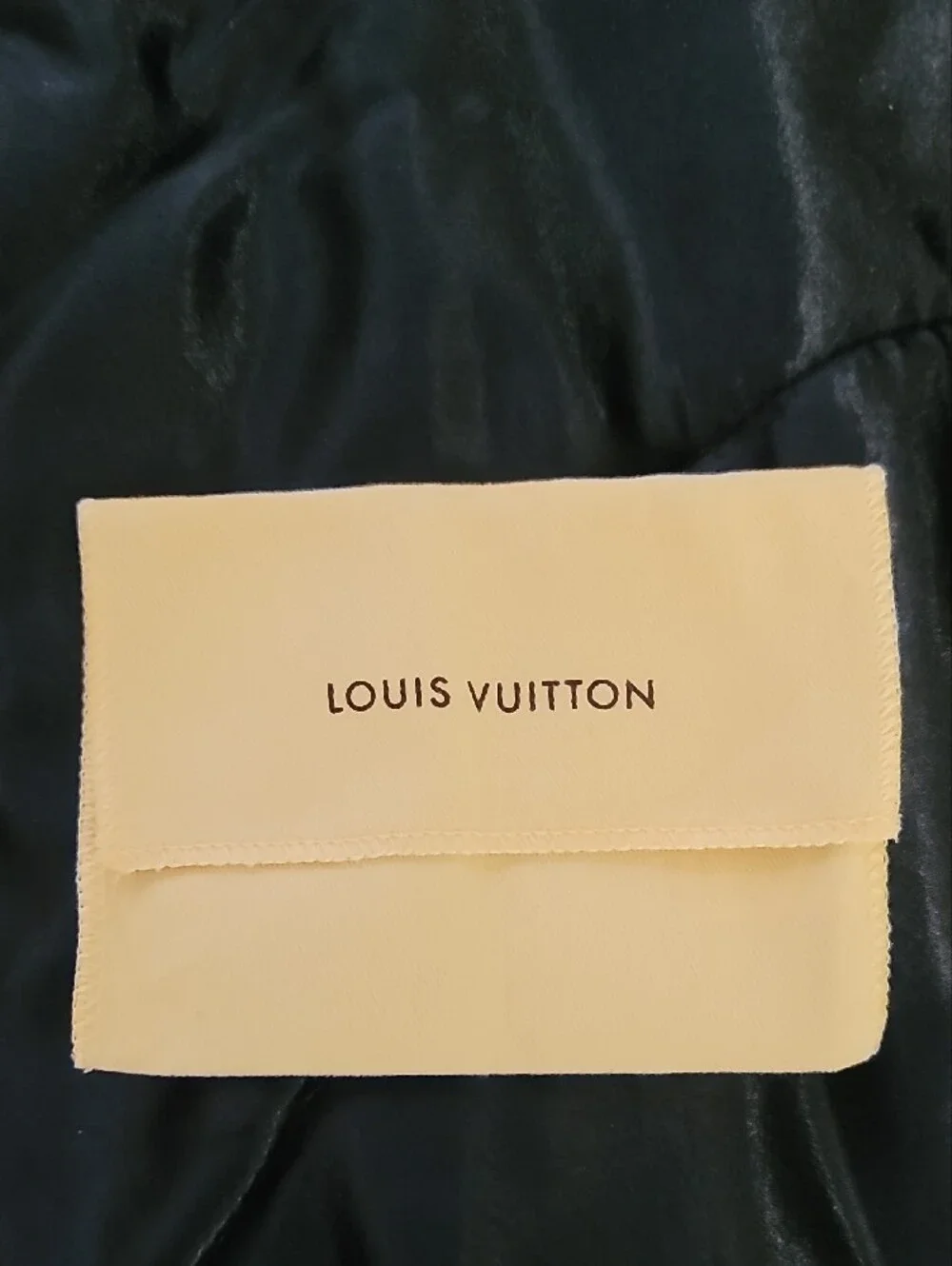 Louis Vuitton Beige Fabric Dust Pouch